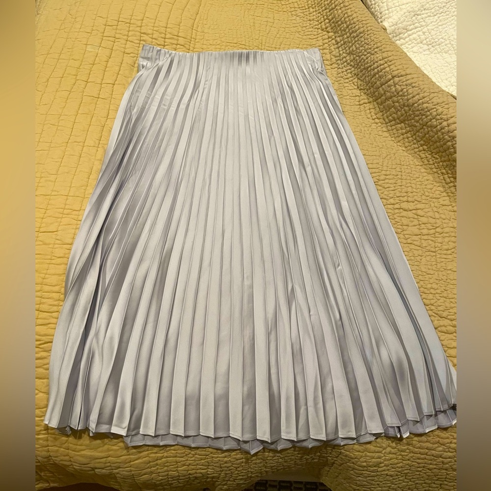 Jcrew Gwyneth Pleated slip skirt - L